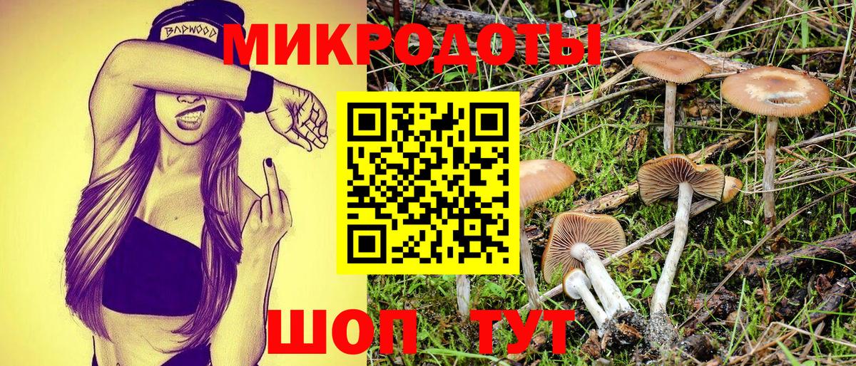 Галлюциногенные грибы MAGIC MUSHROOMS  Псилоцибиновые грибы Psilocybe  Вход с VPN  Южно-Сахалинск 